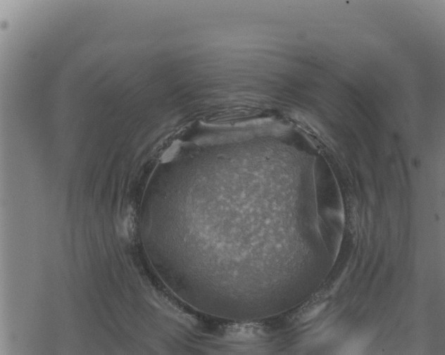 X0000068820077200605121326