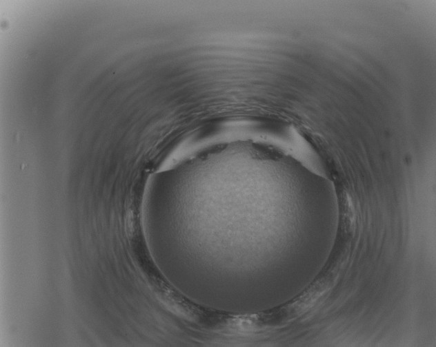 X0000068820080200605121326