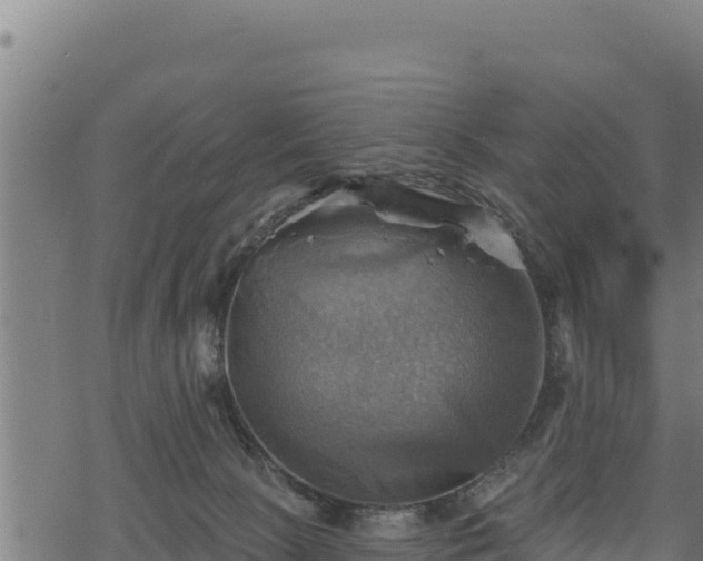 X0000068820081200605121326