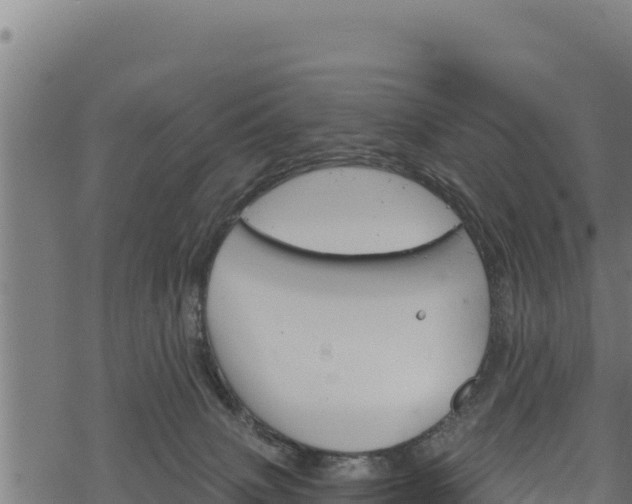 X0000068820083200605121326