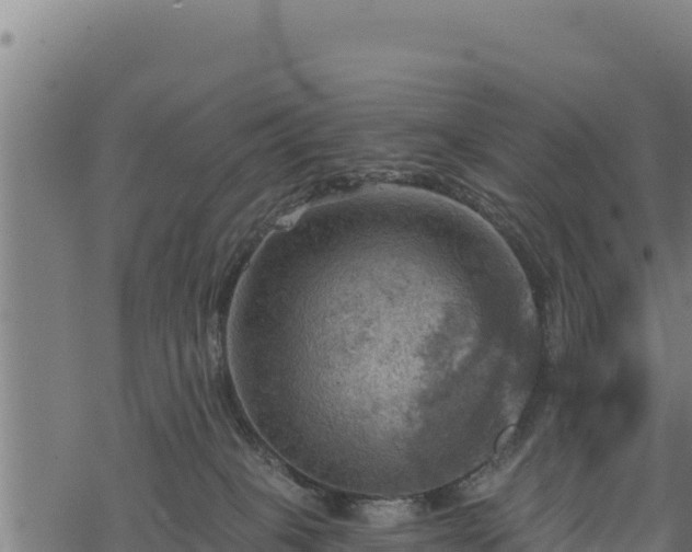 X0000068820085200605121326