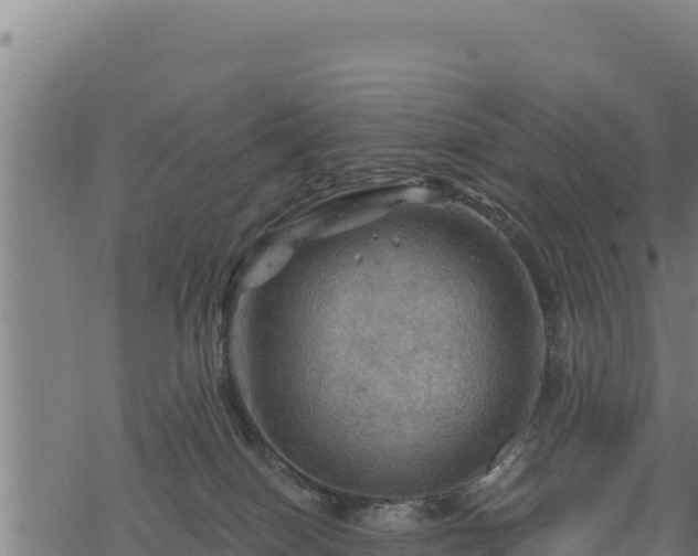 X0000068820086200605121326