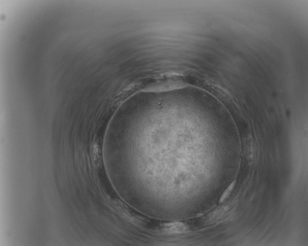 X0000068820087200605121326