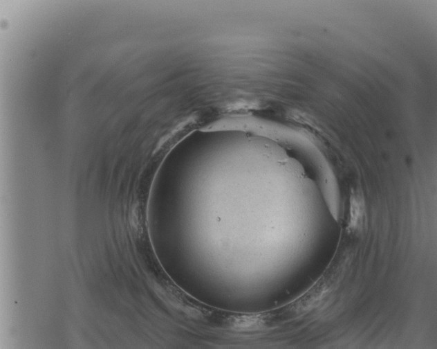 X0000068820088200605121327