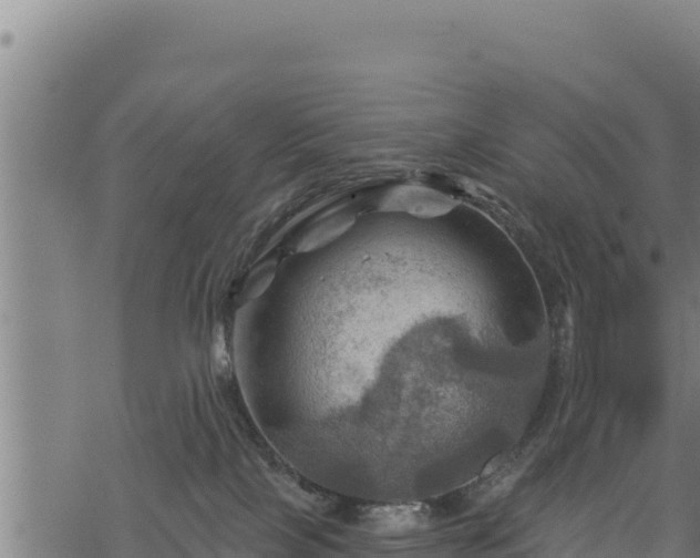 X0000068820089200605121327