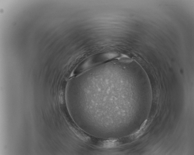 X0000068820090200605121327