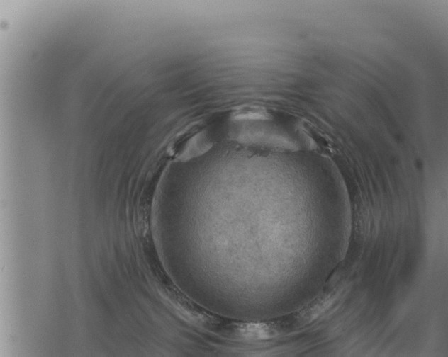 X0000068820091200605121327