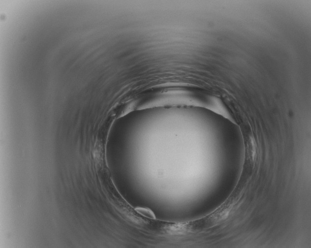 X0000068820092200605121327