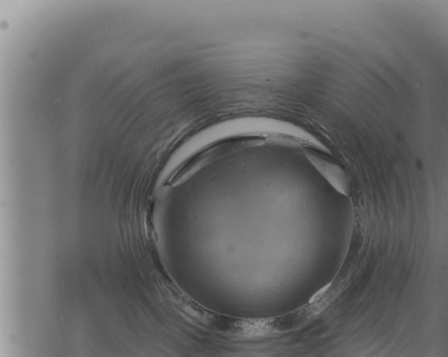 X0000068820093200605121327