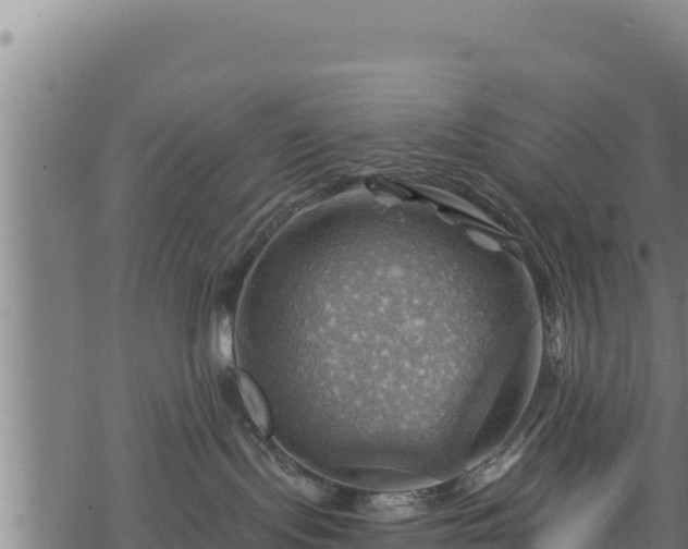 X0000068820095200605121327