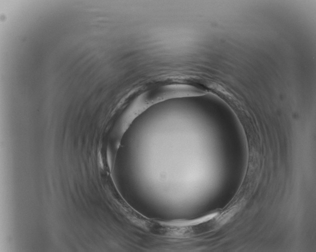 X0000068820096200605121327