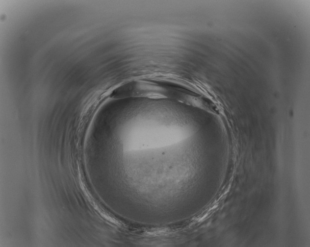 X0000068820097200605121326