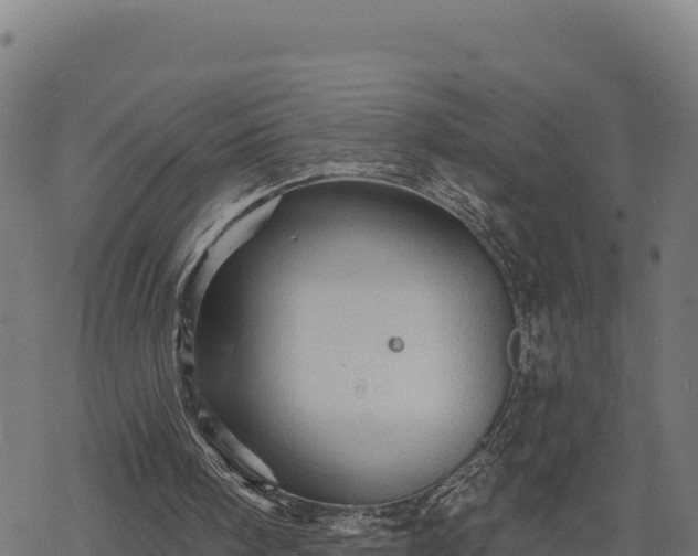 X0000068820098200605121326