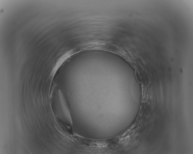 X0000068820099200605121326