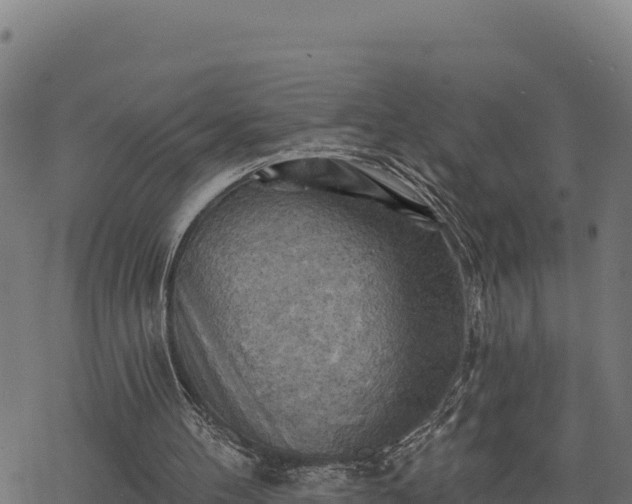 X0000068820100200605121326