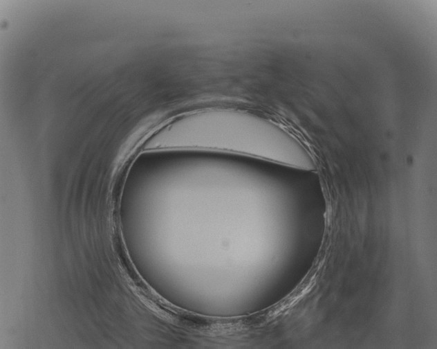 X0000068820101200605121326