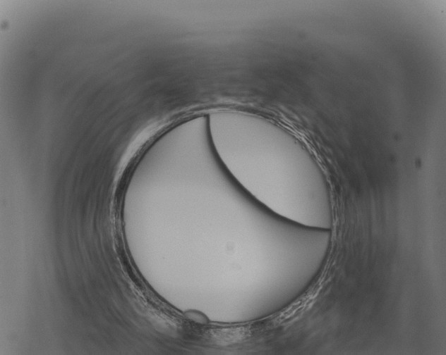 X0000068820102200605121326