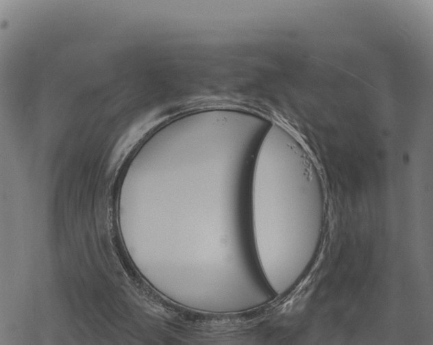 X0000068820103200605121326