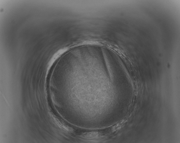 X0000068820104200605121326