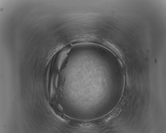 X0000068820105200605121326