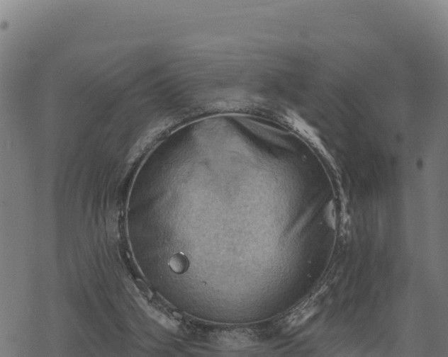 X0000068820106200605121326