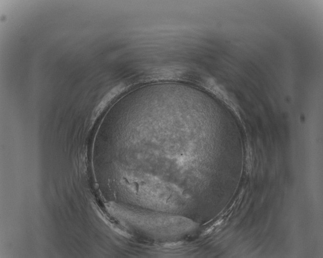 X0000068820107200605121326