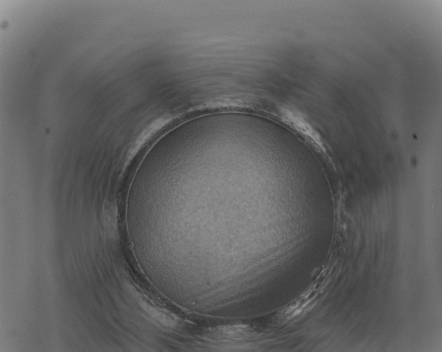 X0000068820108200605121326