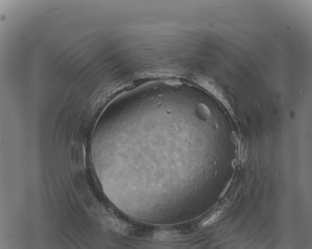 X0000068820109200605121326