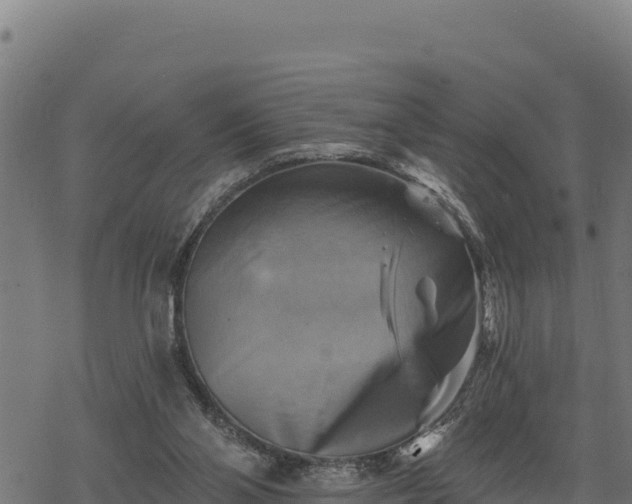 X0000068820110200605121326