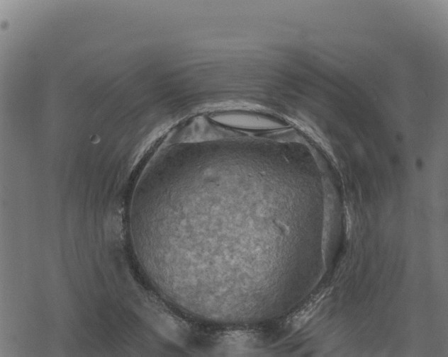 X0000068820111200605121326