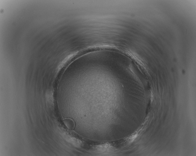 X0000068820112200605121326