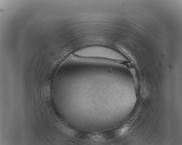 X0000068820113200605121326