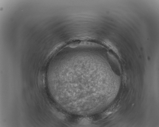 X0000068820115200605121326