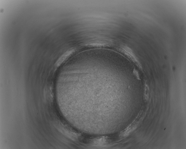 X0000068820116200605121326