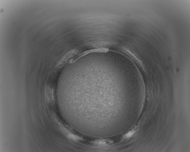 X0000068820117200605121326