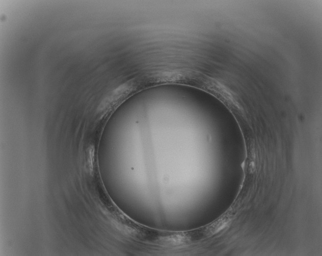 X0000068820118200605121325