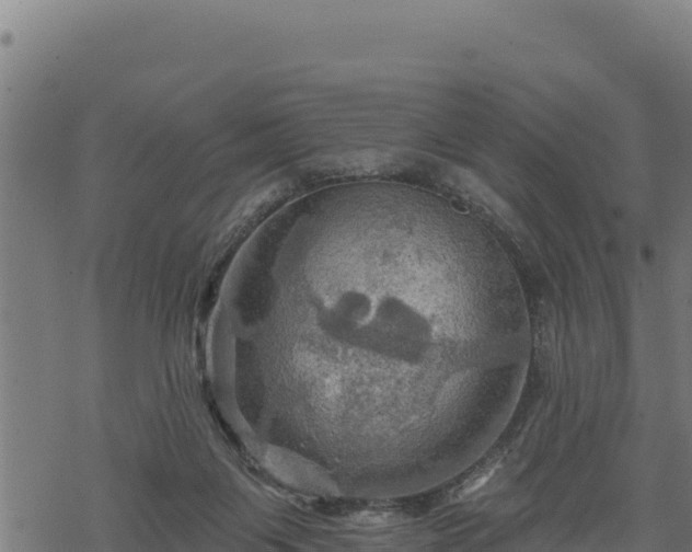 X0000068820119200605121325