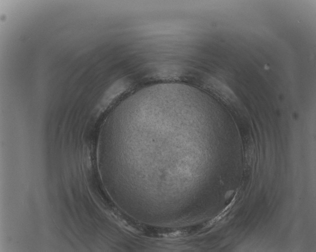 X0000068820120200605121325