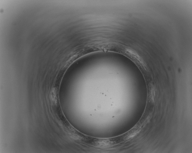 X0000068820121200605121325