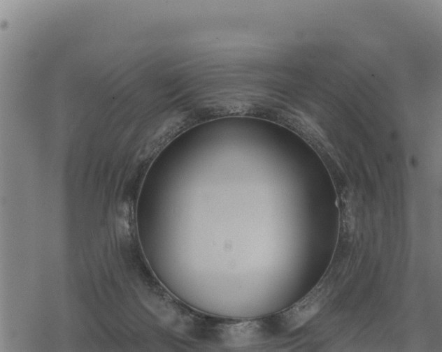 X0000068820122200605121325