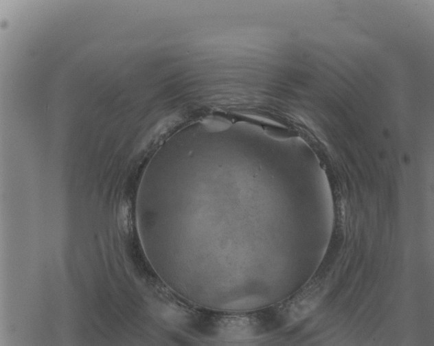 X0000068820123200605121325