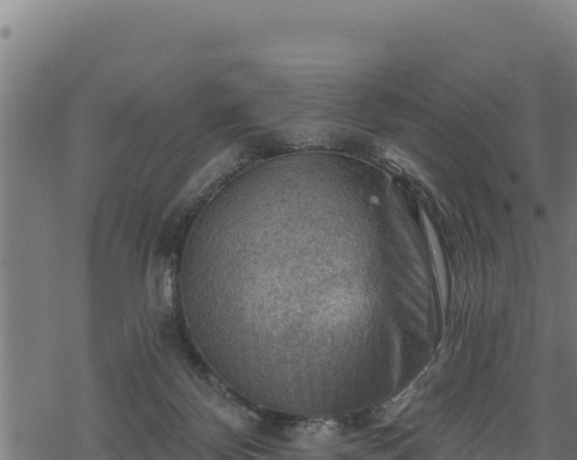 X0000068820124200605121325