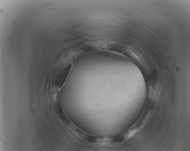 X0000068820125200605121325