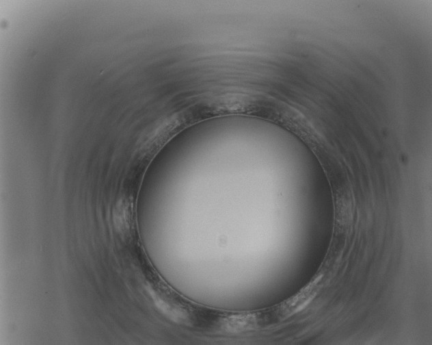 X0000068820126200605121325