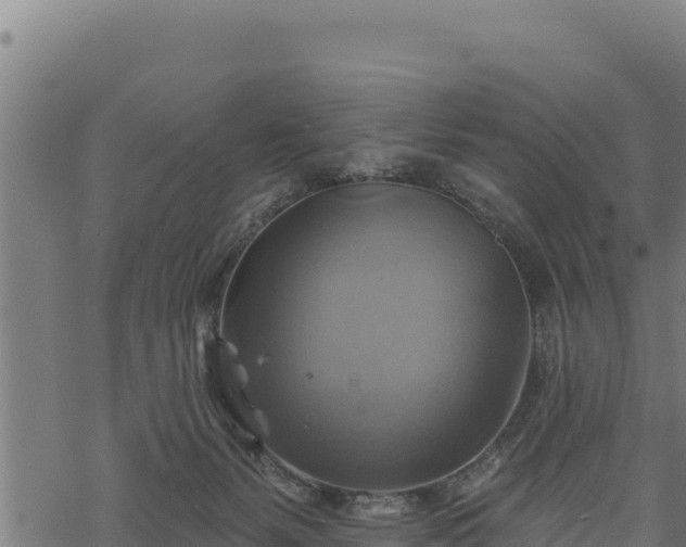 X0000068820127200605121325