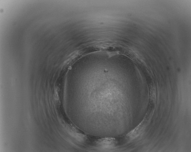 X0000068820128200605121325