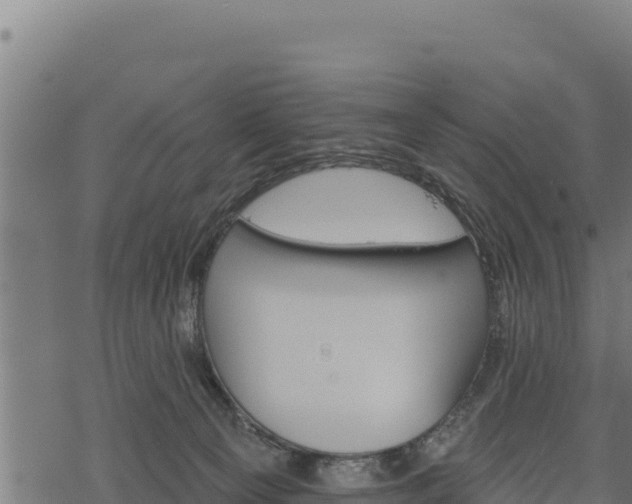 X0000068820129200605121325