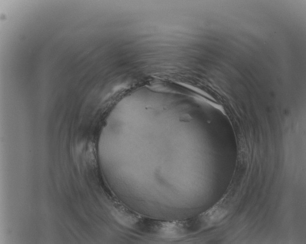 X0000068820130200605121325