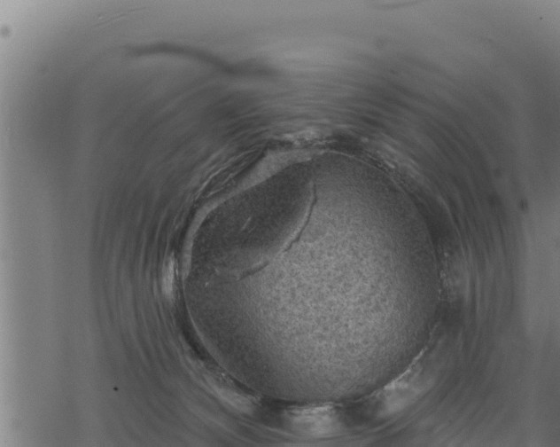 X0000068820132200605121325