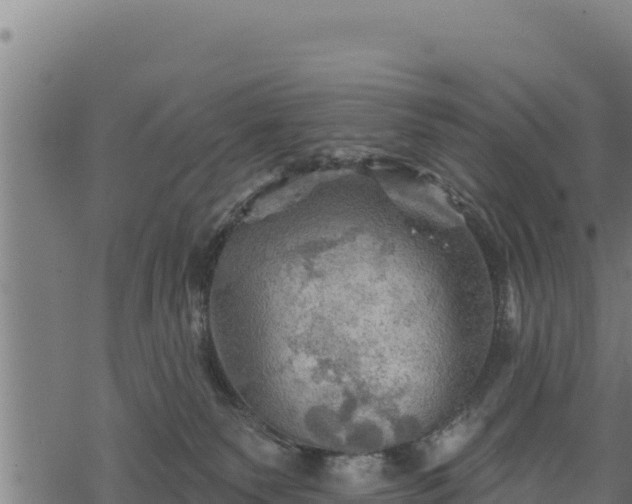 X0000068820135200605121325